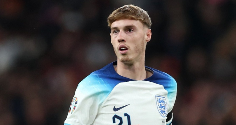 他们在主场 他们在主场