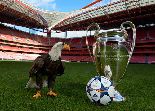 赛事中取得 赛事中取得