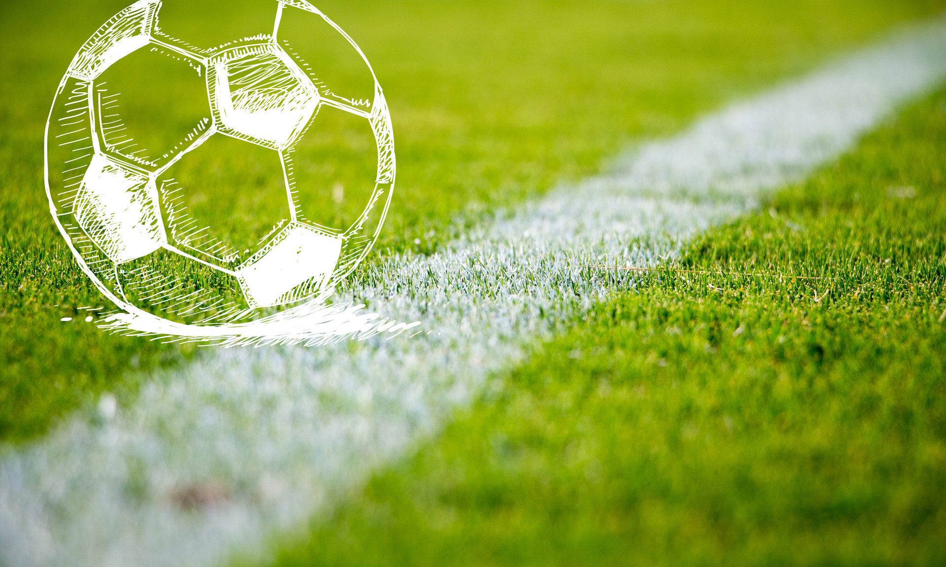 点开花与团 点开花与团