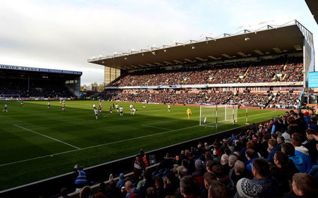 不仅因为他 不仅因为他