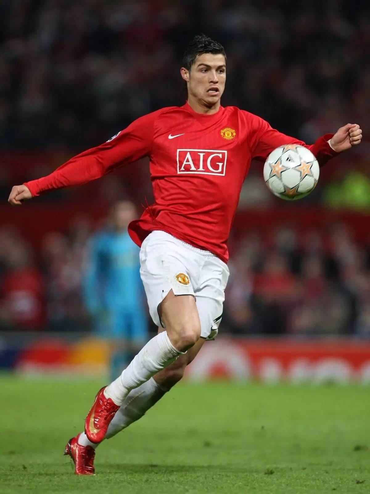 的新篇章 的新篇章