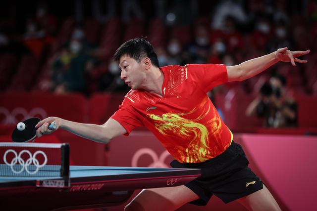 的指导下 的指导下