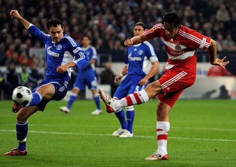 态的可持续 态的可持续